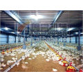 birdsitter ISO9001 qualified broiler chicken house design